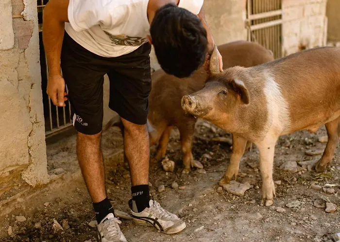 Agriturismo Le Radici